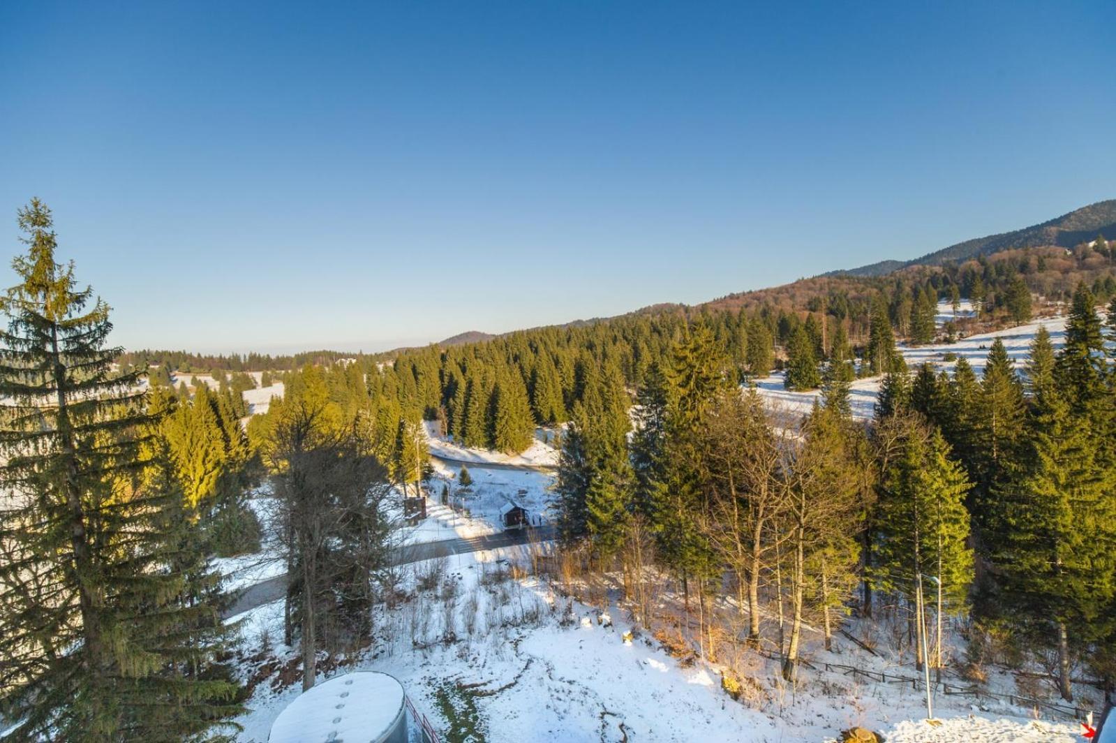 Family Apartment In Silver Mountain Resort Пояна-Брашов Екстер'єр фото
