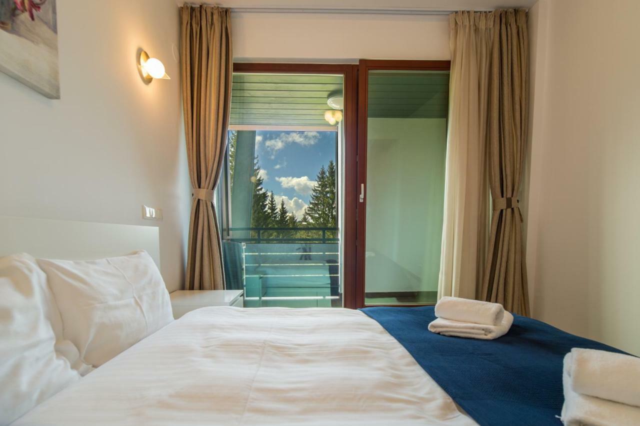 Family Apartment In Silver Mountain Resort Пояна-Брашов Екстер'єр фото